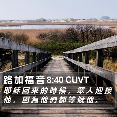路 加 福 音 8:40 CUVT Bible Verse Image