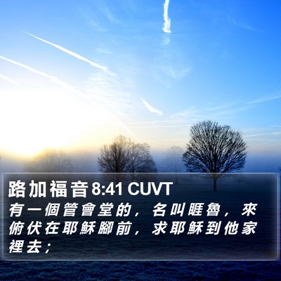 路 加 福 音 8:41 CUVT Bible Verse Image