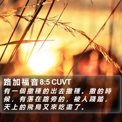 路 加 福 音 8:5 CUVT Bible Verse Image