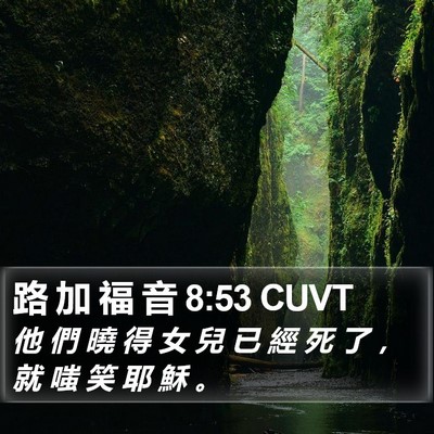 路 加 福 音 8:53 CUVT Bible Verse Image