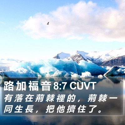 路 加 福 音 8:7 CUVT Bible Verse Image