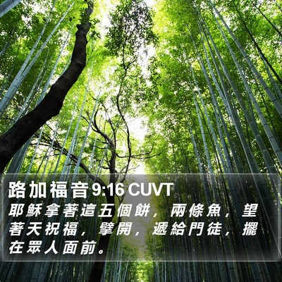 路 加 福 音 9:16 CUVT Bible Verse Image