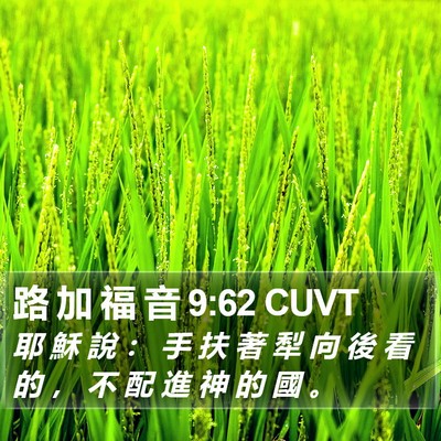路 加 福 音 9:62 CUVT Bible Verse Image