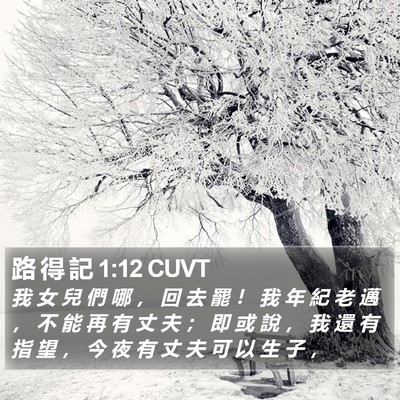 路 得 記 1:12 CUVT Bible Verse Image
