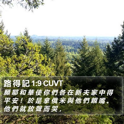 路 得 記 1:9 CUVT Bible Verse Image