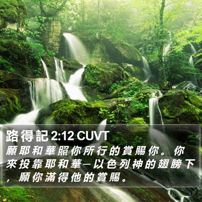 路 得 記 2:12 CUVT Bible Verse Image
