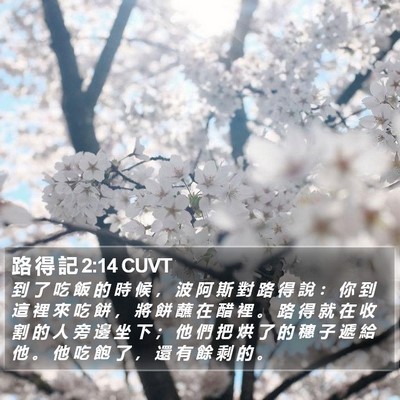 路 得 記 2:14 CUVT Bible Verse Image