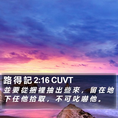 路 得 記 2:16 CUVT Bible Verse Image