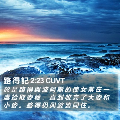 路 得 記 2:23 CUVT Bible Verse Image
