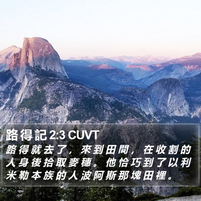路 得 記 2:3 CUVT Bible Verse Image