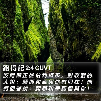 路 得 記 2:4 CUVT Bible Verse Image