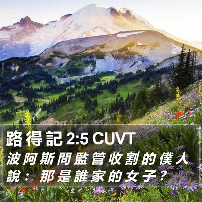 路 得 記 2:5 CUVT Bible Verse Image