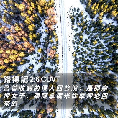 路 得 記 2:6 CUVT Bible Verse Image
