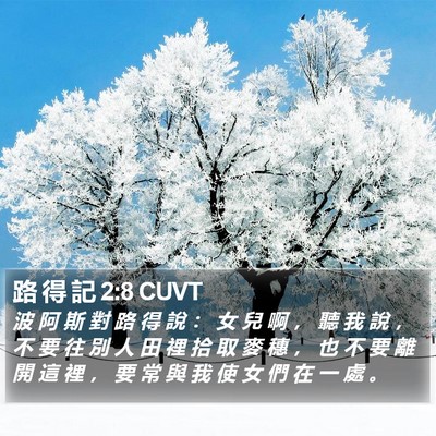 路 得 記 2:8 CUVT Bible Verse Image
