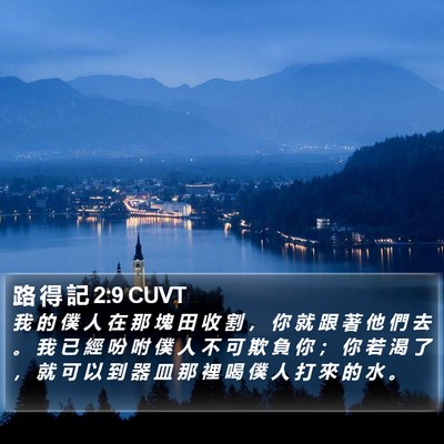 路 得 記 2:9 CUVT Bible Verse Image