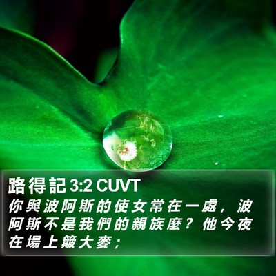 路 得 記 3:2 CUVT Bible Verse Image