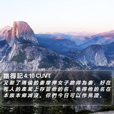 路 得 記 4:10 CUVT Bible Verse Image