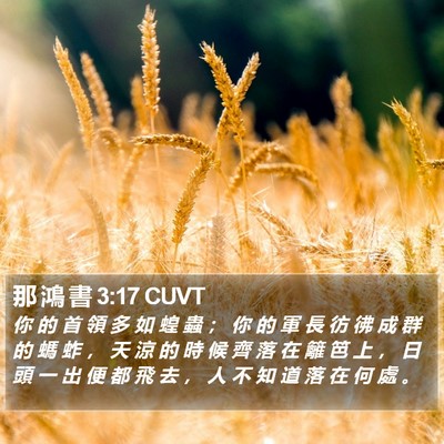 那 鴻 書 3:17 CUVT Bible Verse Image