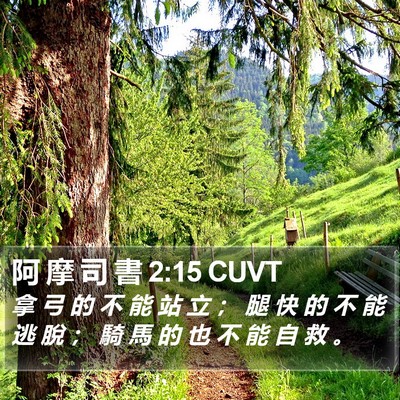 阿 摩 司 書 2:15 CUVT Bible Verse Image