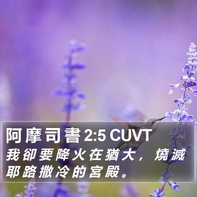 阿 摩 司 書 2:5 CUVT Bible Verse Image