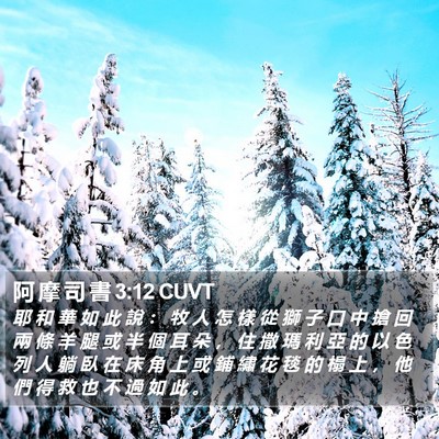 阿 摩 司 書 3:12 CUVT Bible Verse Image