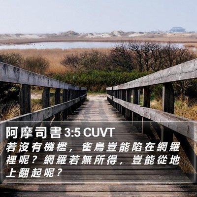 阿 摩 司 書 3:5 CUVT Bible Verse Image