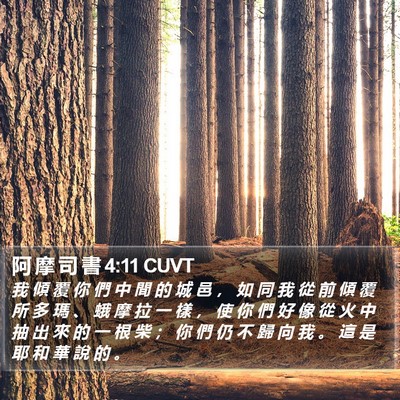 阿 摩 司 書 4:11 CUVT Bible Verse Image