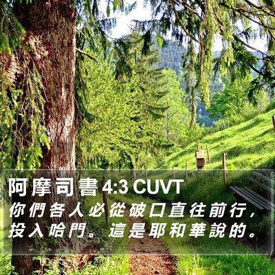 阿 摩 司 書 4:3 CUVT Bible Verse Image