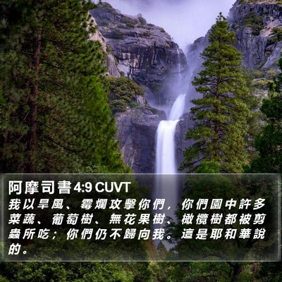 阿 摩 司 書 4:9 CUVT Bible Verse Image