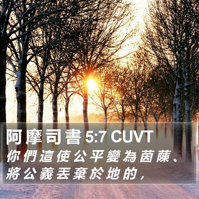 阿 摩 司 書 5:7 CUVT Bible Verse Image