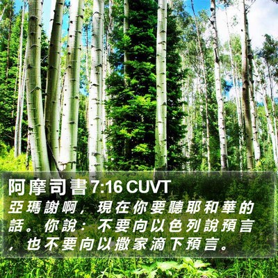 阿 摩 司 書 7:16 CUVT Bible Verse Image
