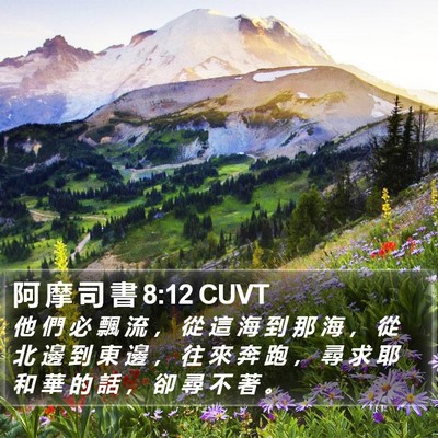 阿 摩 司 書 8:12 CUVT Bible Verse Image