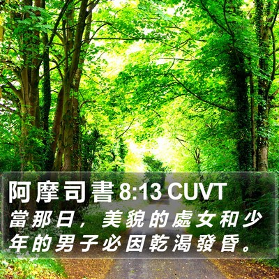 阿 摩 司 書 8:13 CUVT Bible Verse Image