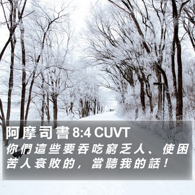 阿 摩 司 書 8:4 CUVT Bible Verse Image