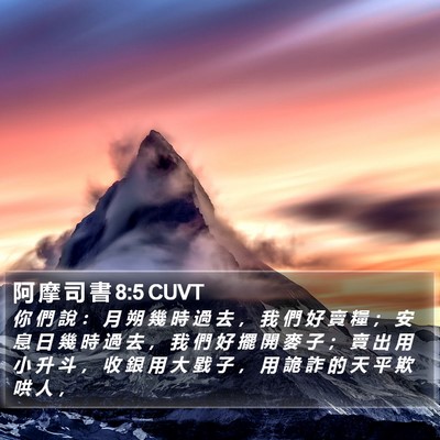 阿 摩 司 書 8:5 CUVT Bible Verse Image