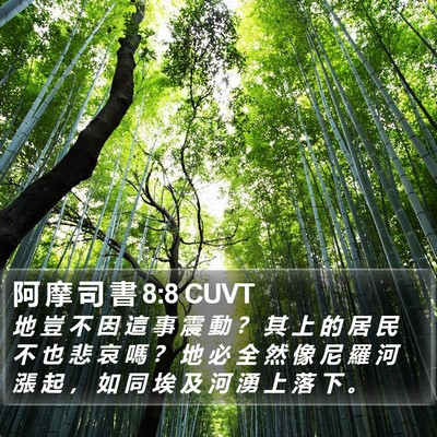 阿 摩 司 書 8:8 CUVT Bible Verse Image