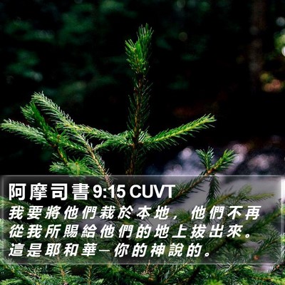 阿 摩 司 書 9:15 CUVT Bible Verse Image