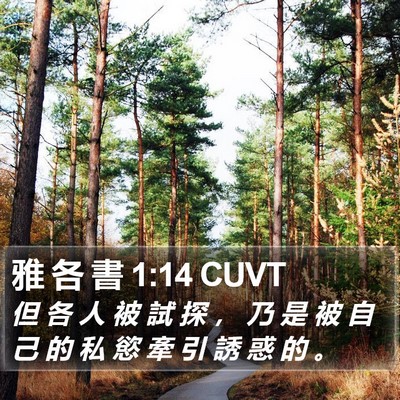 雅 各 書 1:14 CUVT Bible Verse Image