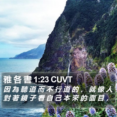 雅 各 書 1:23 CUVT Bible Verse Image
