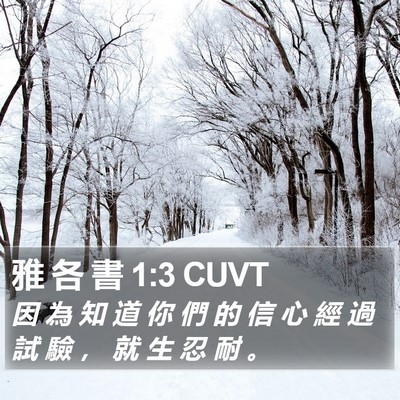 雅 各 書 1:3 CUVT Bible Verse Image