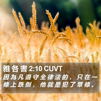 雅 各 書 2:10 CUVT Bible Verse Image