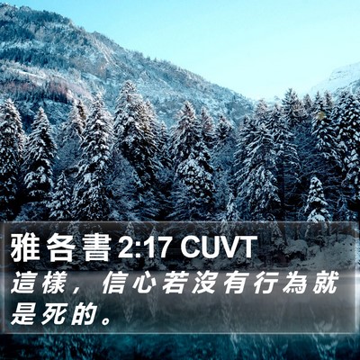 雅 各 書 2:17 CUVT Bible Verse Image