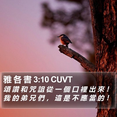 雅 各 書 3:10 CUVT Bible Verse Image