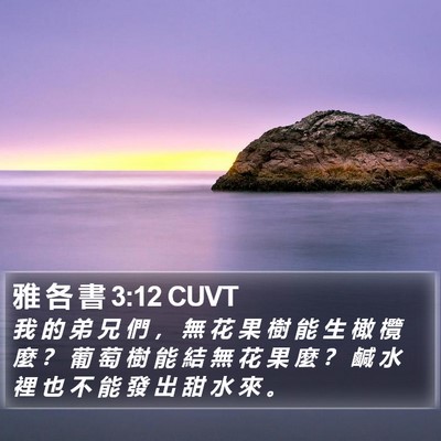 雅 各 書 3:12 CUVT Bible Verse Image