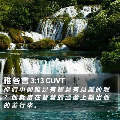 雅 各 書 3:13 CUVT Bible Verse Image