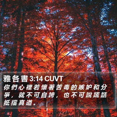 雅 各 書 3:14 CUVT Bible Verse Image