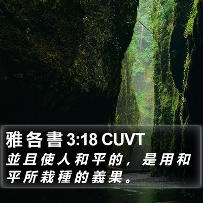 雅 各 書 3:18 CUVT Bible Verse Image