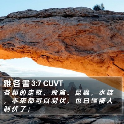 雅 各 書 3:7 CUVT Bible Verse Image