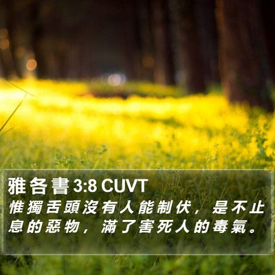 雅 各 書 3:8 CUVT Bible Verse Image