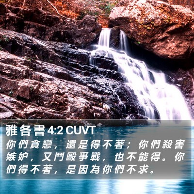 雅 各 書 4:2 CUVT Bible Verse Image